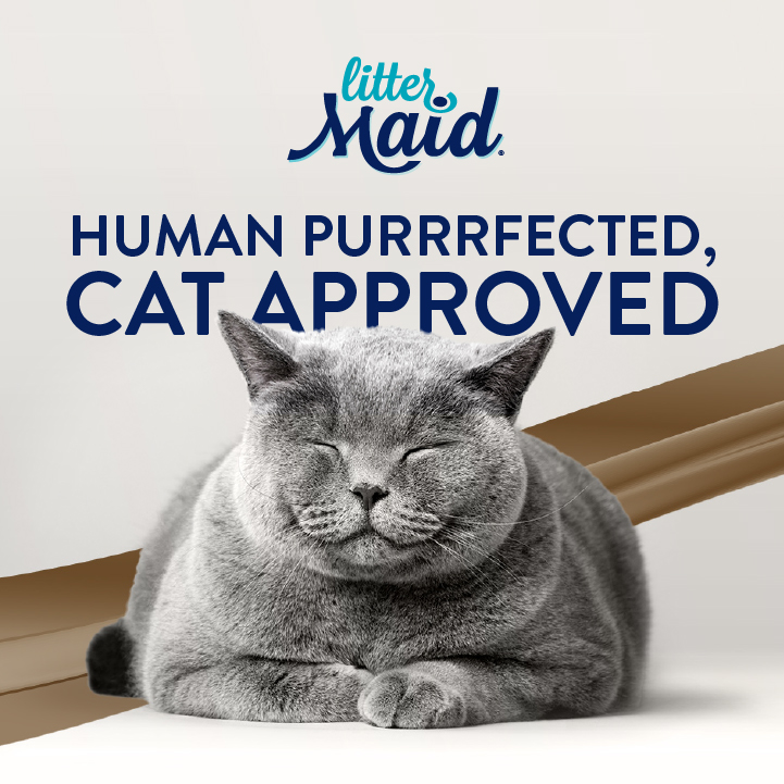 Littermaid cat shop litter